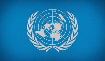 ONZ. Ważne oświadczenie państw zachodnich