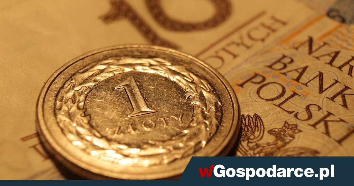 Politics casts a shadow over the zloty's valuation