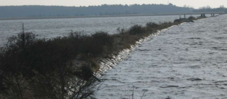 fot. Panek/commons.wikimedia.org