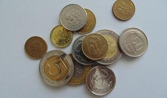 Złoty mocniejszy wobec euro i franka