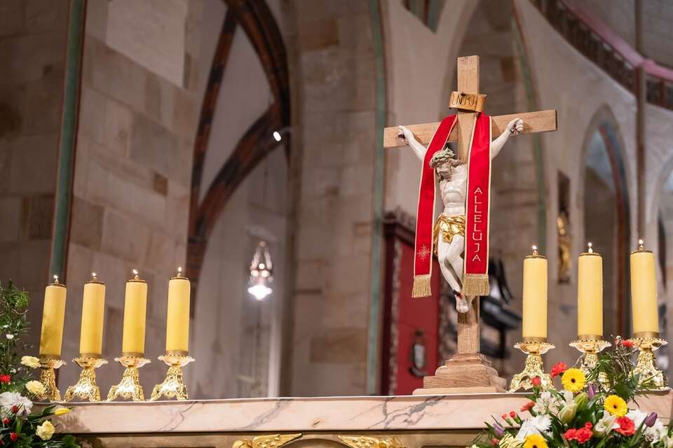 katedra gnieznieńska / autor: PAP/Jakub Kaczmarczyk