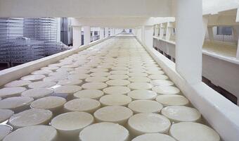 Powoli rośnie eksport produktów mlecznych do Chin