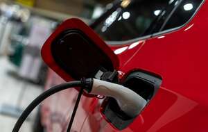 autor: Envato Elements