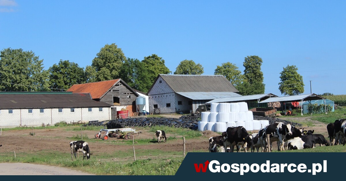 Czy to wyrok na polską wieś? „Tsunami pozwów”