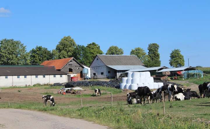 Czy to wyrok na polską wieś? „Tsunami pozwów”