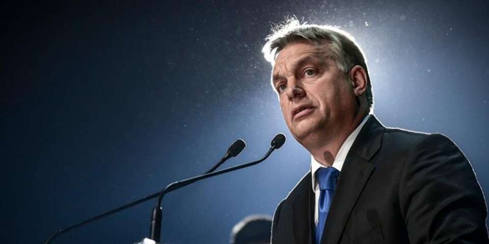 Fot. Profil Orbana na FB