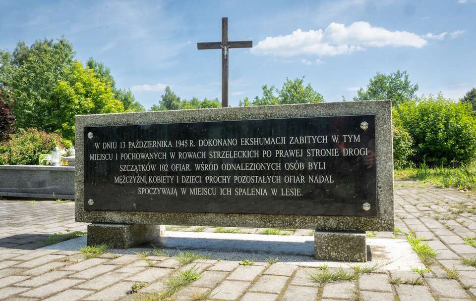 Cmentarz nad jeziorem Borówno / autor: PAP/Tytus Żmijewski