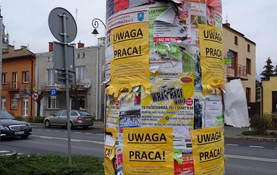 Szacowana stopa bezrobocia w sierpniu wyniosła 5 proc. / autor: Fratria