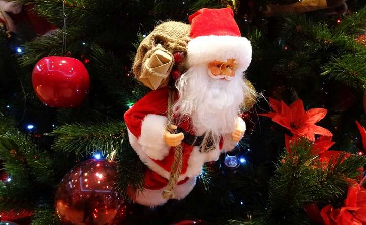 Czy Święty Mikołaj zwraca uwagę na ceny prezentów, które zostawia pod choinką? / autor: Fratria / MK