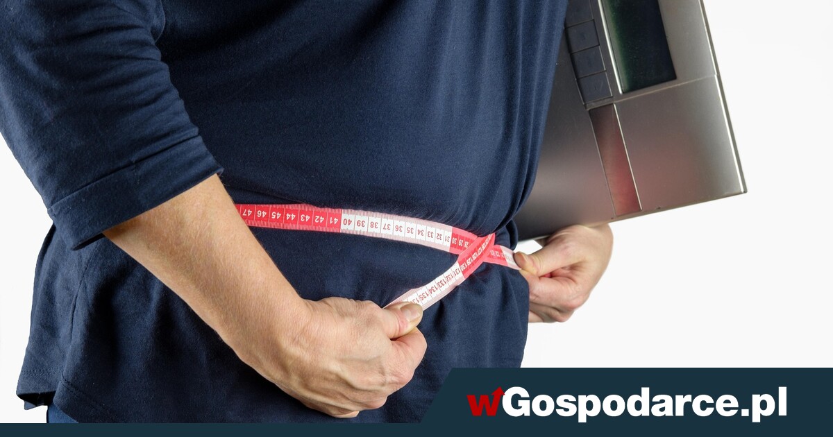 Otyły zapłaci za dwa bilety. Huczne zmiany w lotach