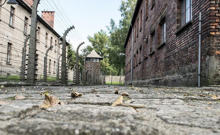 Niemiecki obóz koncentarcyjny w Auschwitz-Birkenau / autor: Pixabay