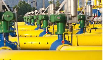 Gaz-System zawarł umowę o współpracy z Plinacro z Chorwacji