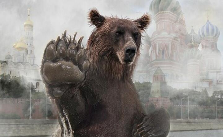 Nie ma granic dla aspiracji politycznych Rosji - poza siłą militarną / autor: Pixabay