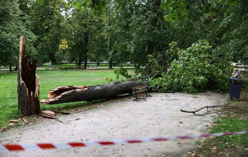 Skutki nawałnic nad Polską / autor: PAP/Leszek Szymański