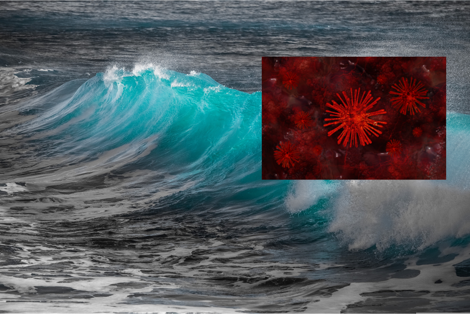 Fale morskie i bakteria / autor: Pixabay/dimitrisvetsikas1969/geralt/
