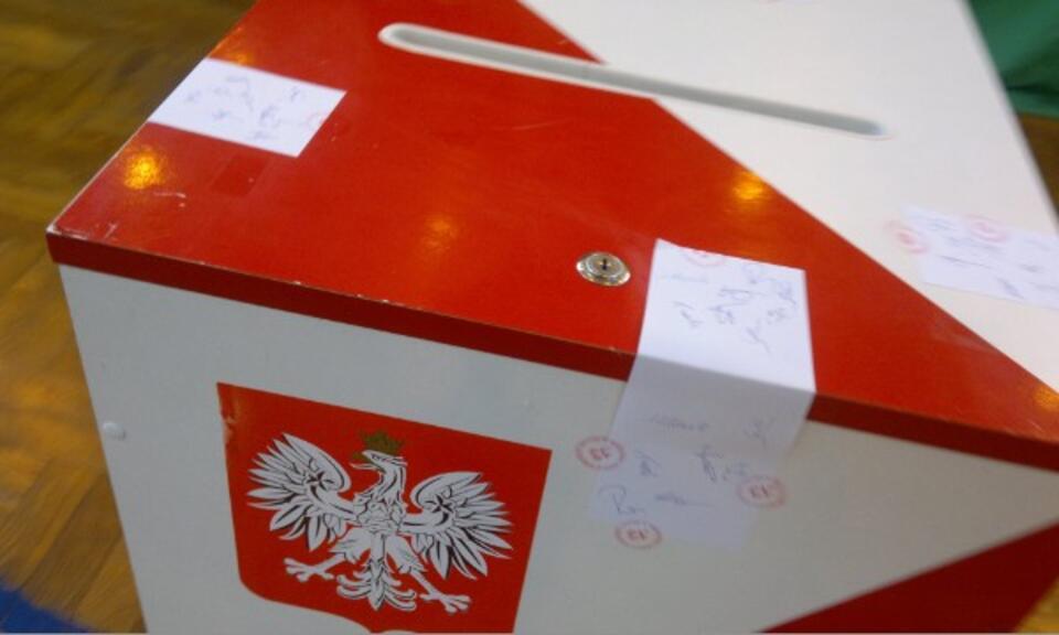 Fot. wPolityce.pl/Gił