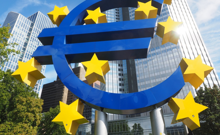 Strefa euro / autor: pixabay.com/pl