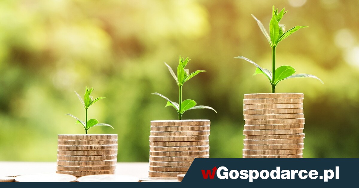 Zakopane w obliczu afery. Mieszkańcy piszą do premiera!