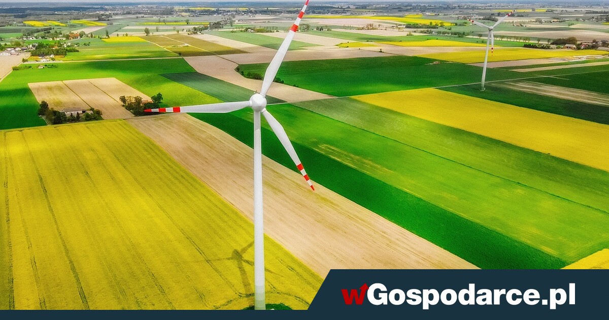 Porażka zielonej transformacji