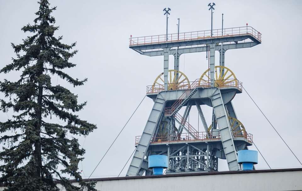 Zarząd JSW zawiesił rozmowy ze związkowcami. Przez Czarzastego?