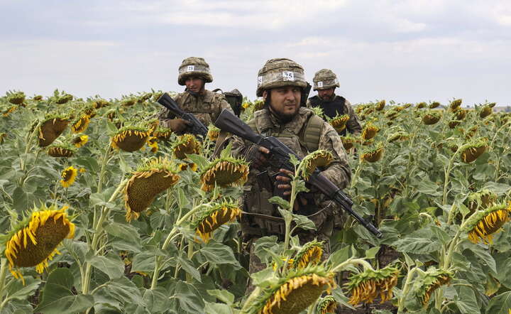Szkolenie żołnierzy ukraińskich w regionie zaporoskim / autor: PAP/EPA/UKRAINE'S 65TH MECHANIZED BRIGADE PRESS SERVICE