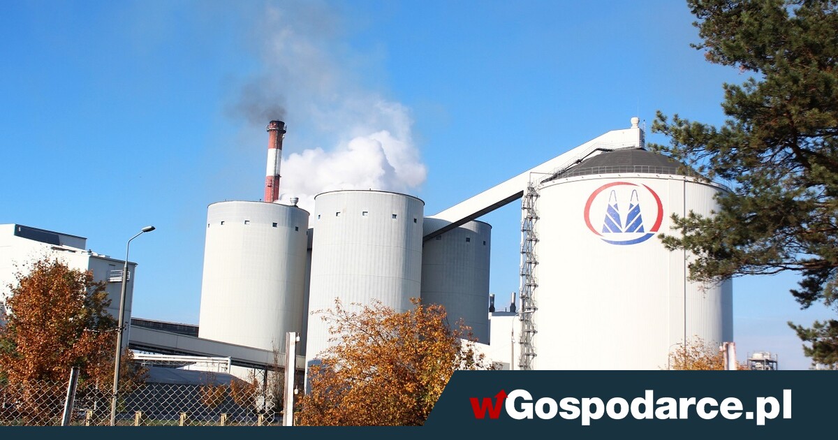 Cukru mamy pod dostatkiem