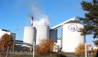 Cukru mamy pod dostatkiem