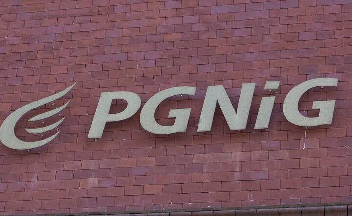 Logo PGNiG / autor: Fratria