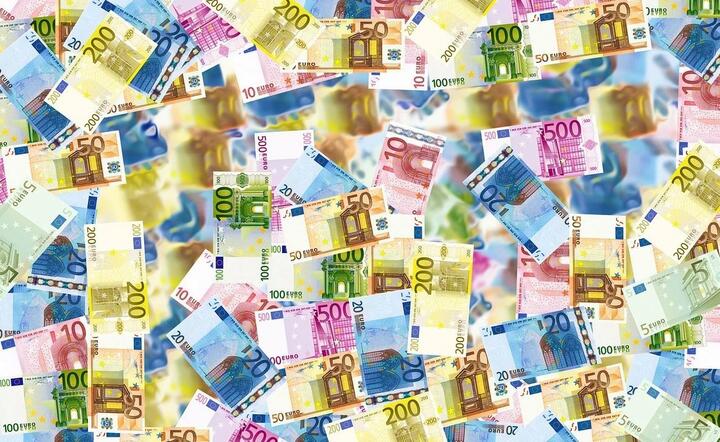1200 euro na głowę w podstawowym dochodzie gwarantowanym.  / autor: Pixabay