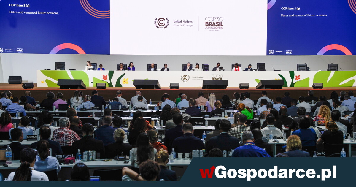 Finał szczytu COP30. Ekolodzy mocno rozczarowani