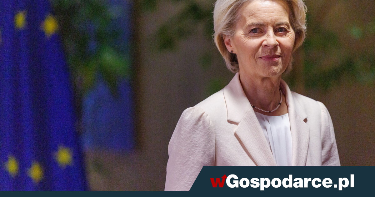 "Mechanizm kija i marchewki". 800 mld euro - dla kogo?