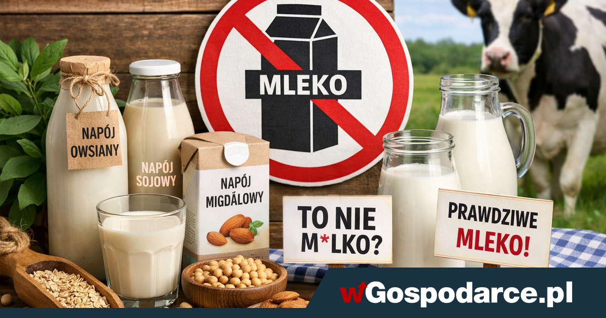 Koniec „mleka roślinnego”