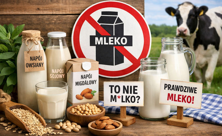 „Spór o nazwę „mleko” – napoje roślinne kontra tradycyjne mleko. Zgodnie z unijnymi regulacjami, napoje roślinne nie mogą używać tej nazwy, co budzi kontrowersje na rynku / autor: ChatGPT/wGospodarce.pl