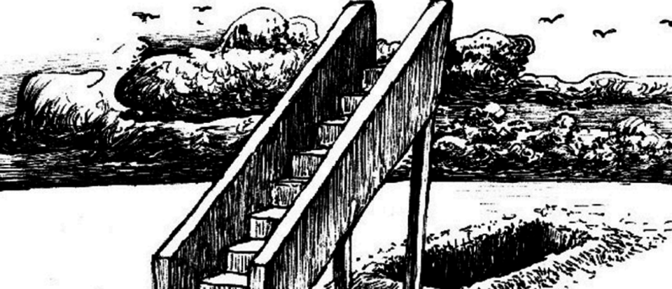 Rys. Rafał Zawistowski