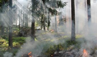 Umorzone śledztwo ws. pożaru w Biebrzańskim Parku Narodowym