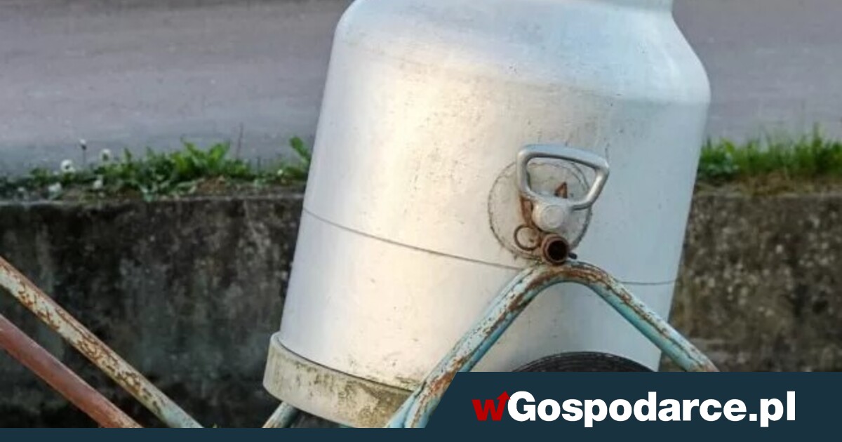 Sektor mleczarski na granicy. Nie wszyscy przetrwają