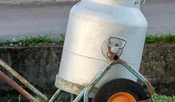 Sektor mleczarski na granicy. Nie wszyscy przetrwają