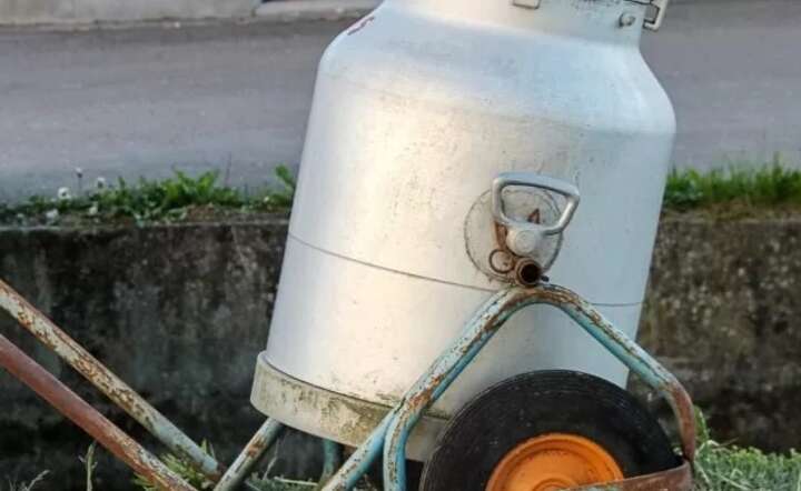 Sektor mleczarski na granicy. Nie wszyscy przetrwają