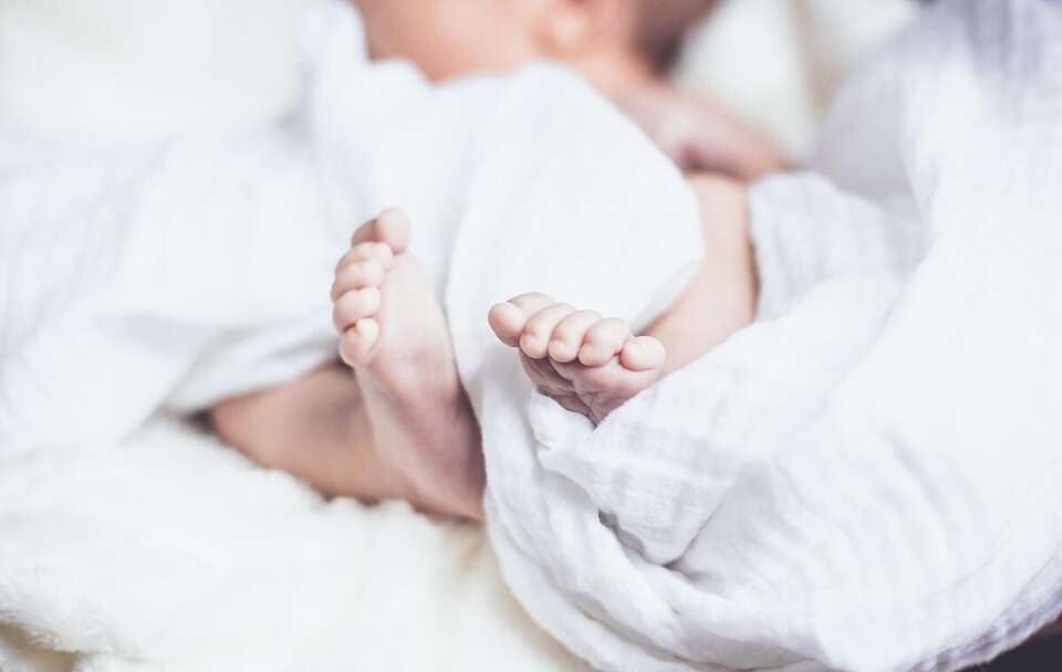 Zdjęcie ilustracyjne  / autor: Pixabay/Pexels