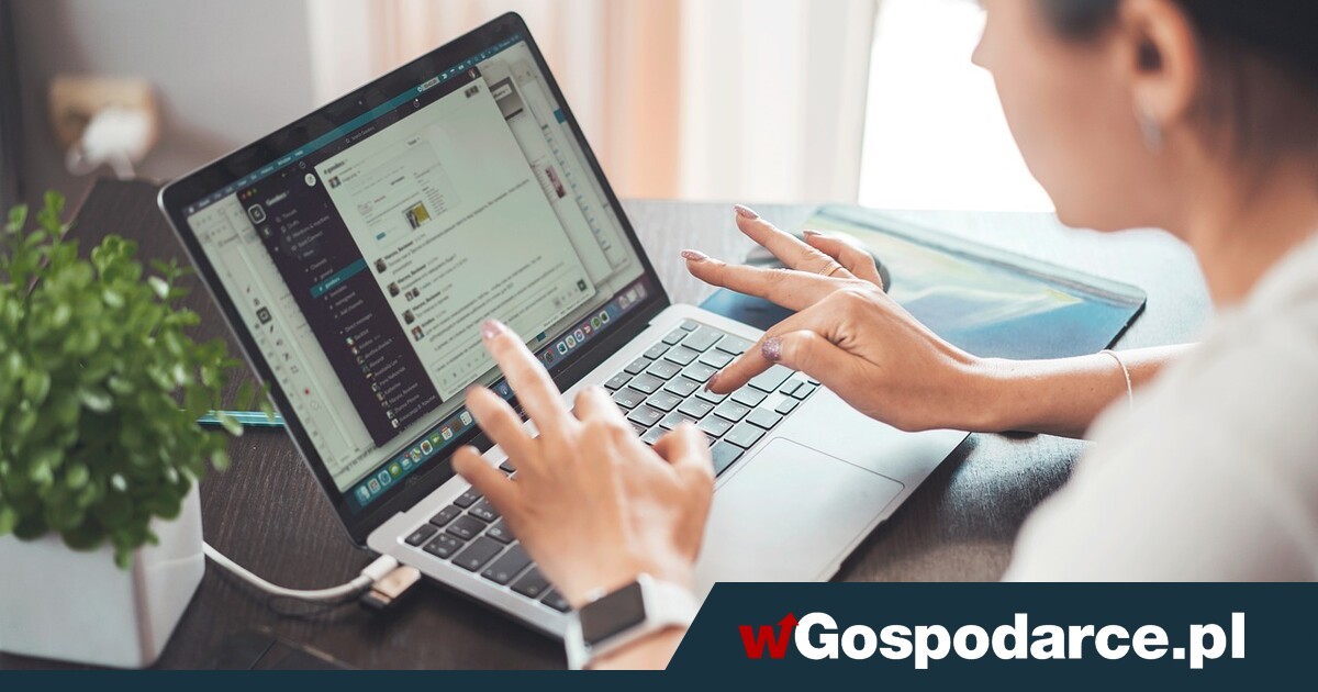 Koniec internetu, jaki znamy. Wszystko przez AI