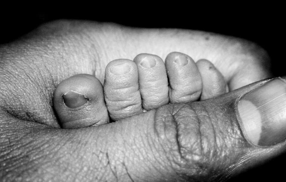 Fot. freeimages.com (zdjęcie ilustracyjne)