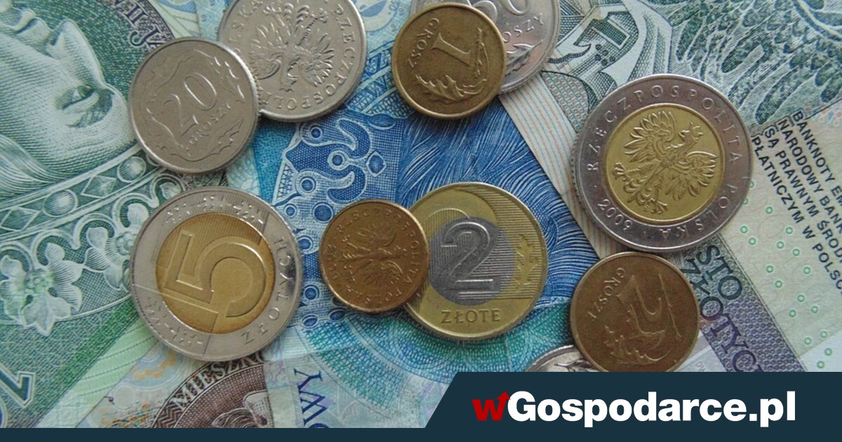 Kiedy decyzje o rencie wdowiej? Prezes ZUS ujawnia