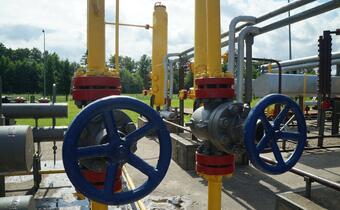 Turcy nie chcą gazu od Gazpromu