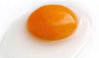 PO tropi niezdrowe jedzenie. W kreskówkach dla dzieci