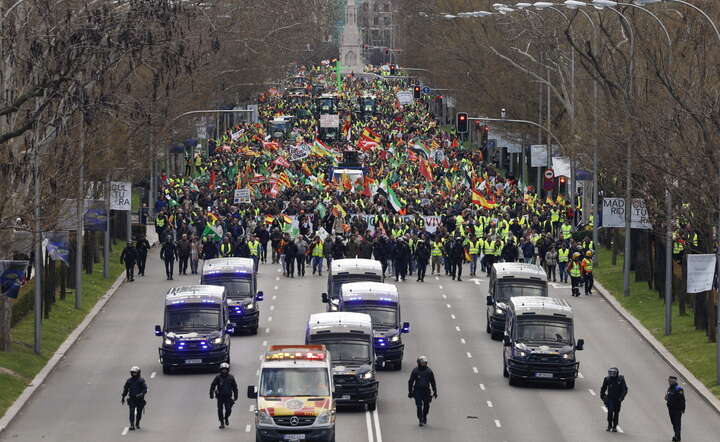 Rolnicze protesty w Madrycie.  / autor: J.J. GUILLEN/EPA/PAP