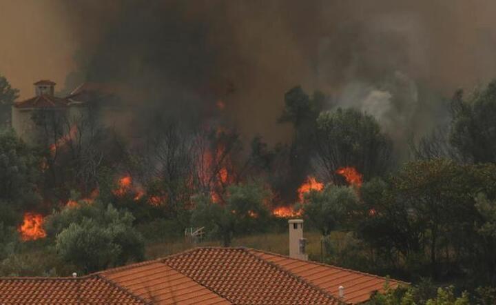 Pożary w Grecji  / autor: PAP/EPA/PAS LEXANDER 