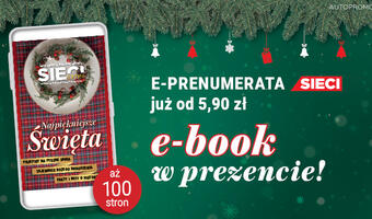 Odbierz gwiazdkowy prezent – świąteczny e-book pod choinkę!
