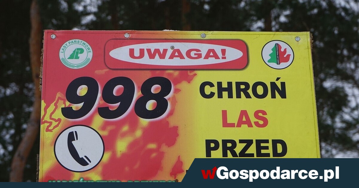 Alarm! Ekstremalnie rośnie zagrożenie pożarowe w lasach