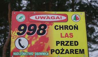 Alarm! Ekstremalnie rośnie zagrożenie pożarowe w lasach