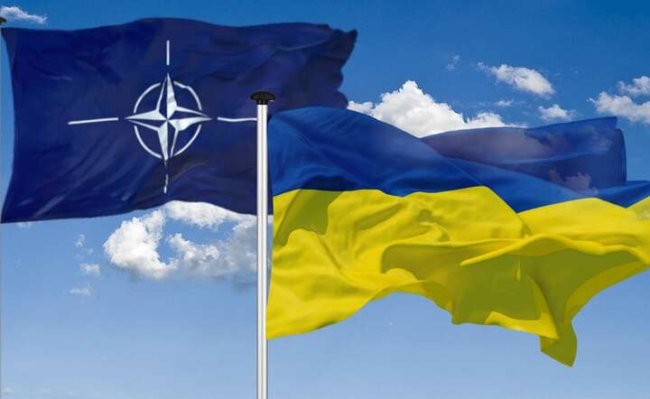 Flagi NATO i Ukrainy / autor: Pixabay